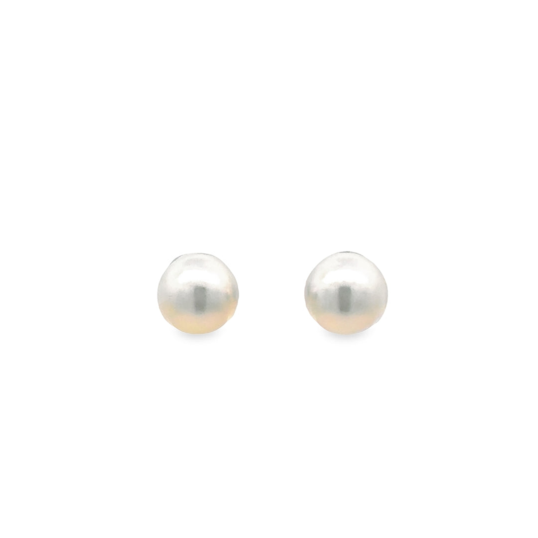 14K White Gold Akoya Pearl Stud Earrings