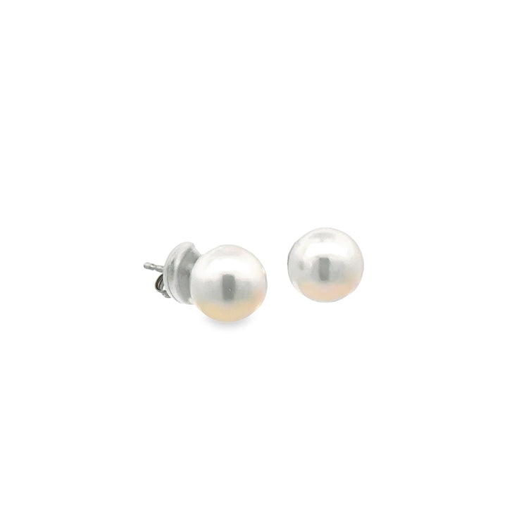 14K White Gold Akoya Pearl Stud Earrings